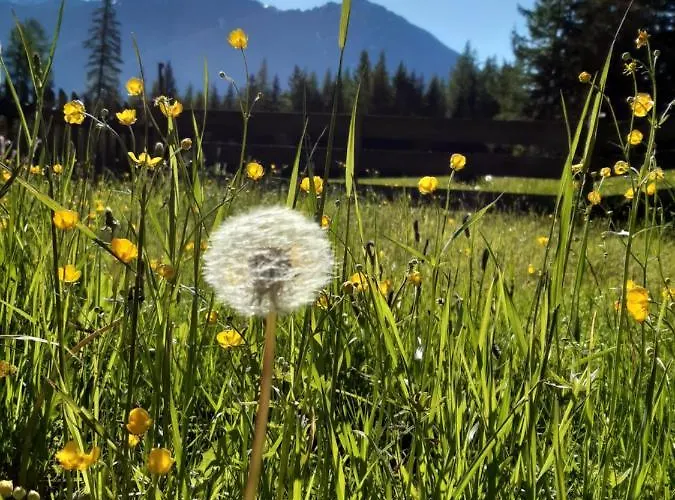 Lejlighed Eva Längenfeld